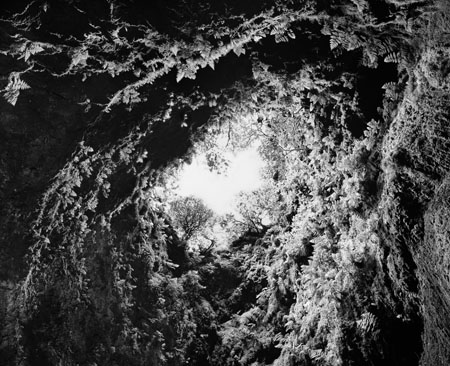 azores_cave_merged_bw_v1